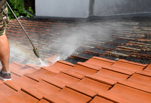 Roof Power Washing Services in Micco, FL
