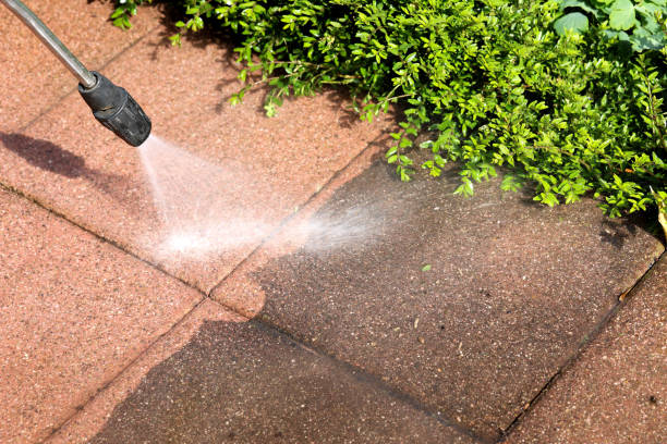 Best Power Washing Near Me  in Micco, FL